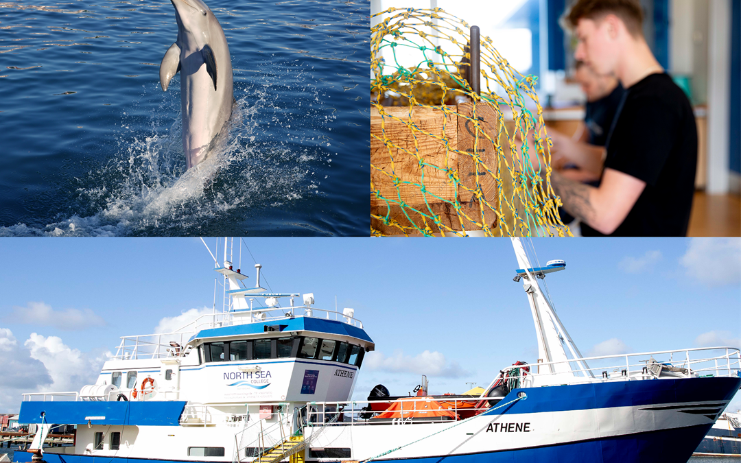 Collage NSC Sommercamp (2)