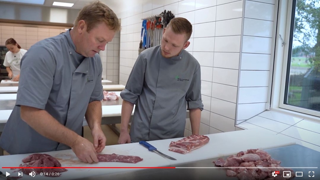 Udklip Til Video Slagter