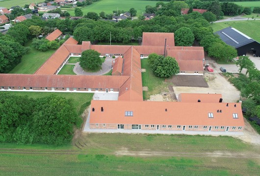 DJI 0008