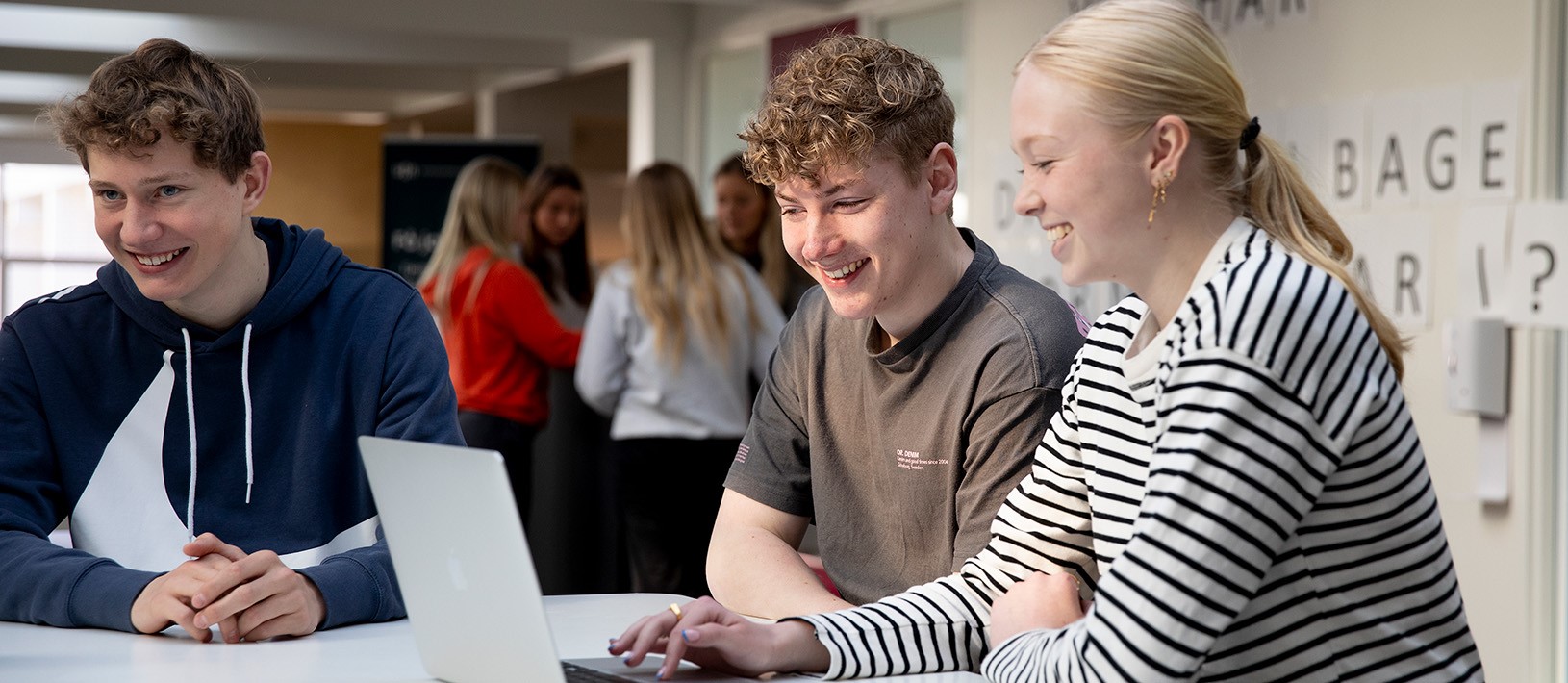 1630X710 HHX Thisted04